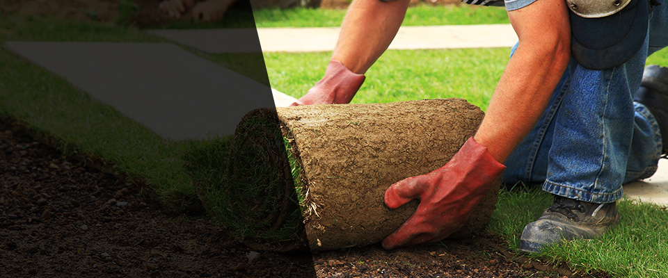 Nineveh Landscapers